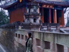 -子昂故里文化旅游区