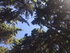 -南诏风情岛