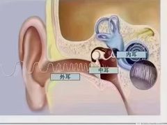 -自然之声助听器(平凉店)