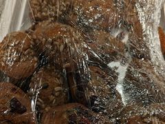 -西部马华清真兰州牛肉面·烧烤夜市(关东店)