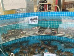 -晓伟海鲜家常菜