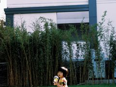 -茯茶镇