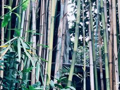 -一粥(华侨城创意文化园店)