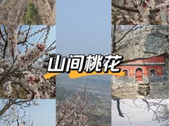 -北京鹫峰国家森林公园