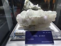 -湖南省地质博物馆