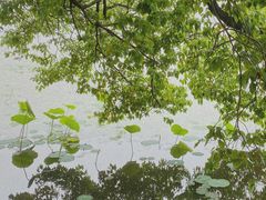 -东湖落雁景区