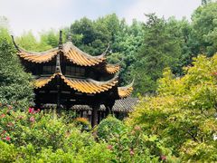 -杭州黄龙洞