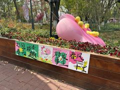-金鸡湖桃花岛