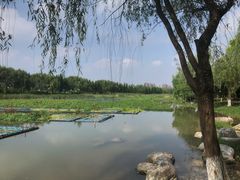 -洋湖国家湿地公园
