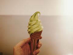 -王守财小山園