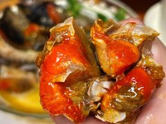 -百年银屏蚝烙·潮汕菜·非遗(乐山店)
