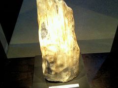 android_upload_pic-中华赏石园