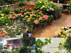 -双季花艺园艺市场(浦东店)