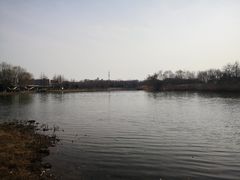 -长广溪湿地公园