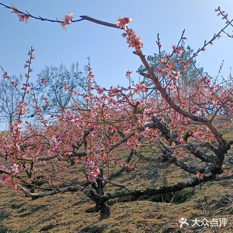 趁着蓝天去就对了