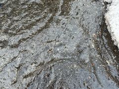 -峡谷浮石林景区