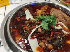 -晓彭肥肠鸡·泡椒鸡火锅(水木天地店)