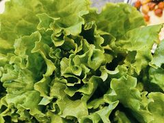 -揽月斋炙子烤肉·清真(安定门·五道营店)