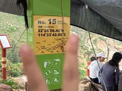 -西涌国际滨海旅游区