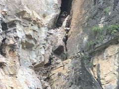 -神农溪纤夫文化旅游区