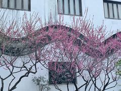-南京市民俗博物馆(甘熙故居)
