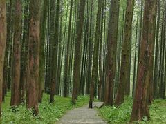 -山王坪喀斯特国家生态公园