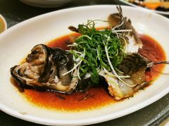 -南海渔村(珠江新城店)