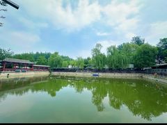 -尚庄度假村·庭台树下·户外烧烤·团建CS·轰趴营地(上庄水库店)