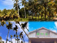 -兴隆槟榔园休闲农庄