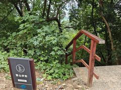 -大蜀山国家森林公园