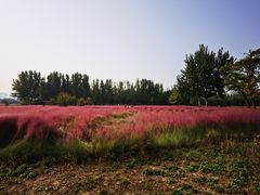 -汉长安城未央宫国家考古遗址公园