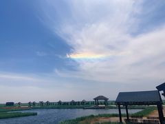 -南大港湿地风景区