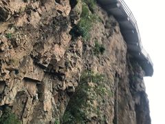 -帽儿山风景区