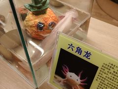 -御海8号温泉酒店