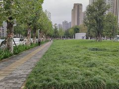 -龙头寺公园