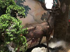 -新白鹿餐厅(金鹰新街口店)
