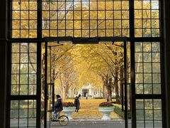 -北京理工大学(中关村校区)