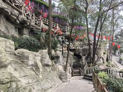 -巴倒烫陆派重庆火锅(南山店)