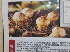 -尚品牛味汤锅火锅(康定总店)