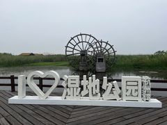 -宁波杭州湾国家湿地公园