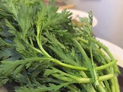 -颜氏双江清水鱼一养身火锅(磁器口店)