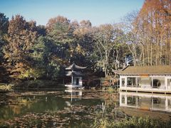 -杭州植物园