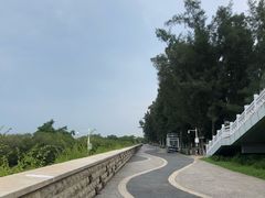 -宝安西湾红树林湿地公园