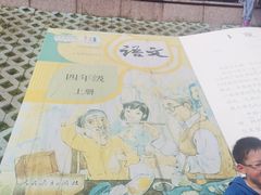-观潮胜地公园