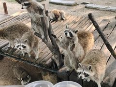 -济南野生动物世界