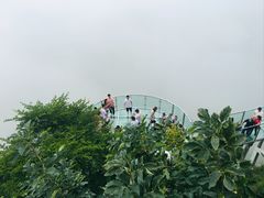 -帽儿山风景区