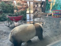 -石家庄市动物园