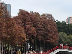 -金砂公园