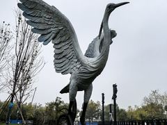 -天津东丽湖风景区