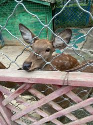 -萌宠亲子动物乐园(槐房万达店)